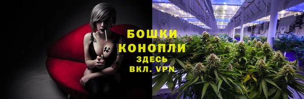 молекула духа Горнозаводск