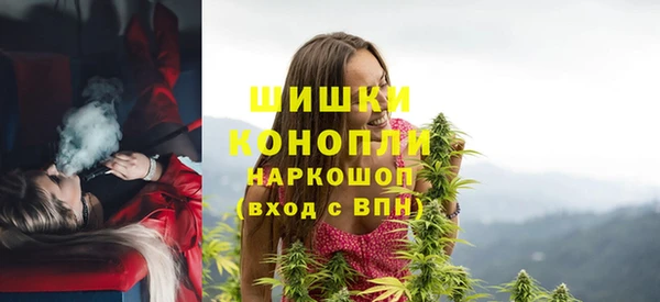 молекула духа Горнозаводск
